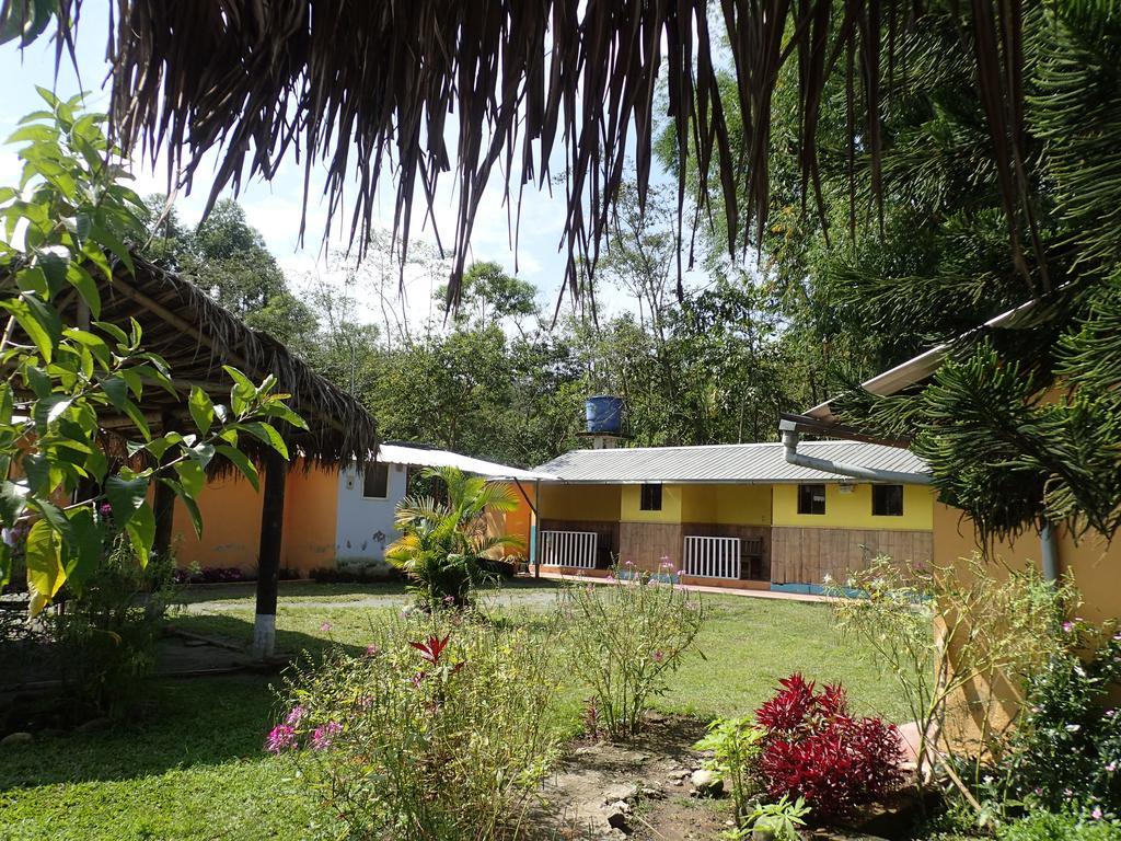 Hostal Henrry'S Ξενοδοχείο Mindo Εξωτερικό φωτογραφία